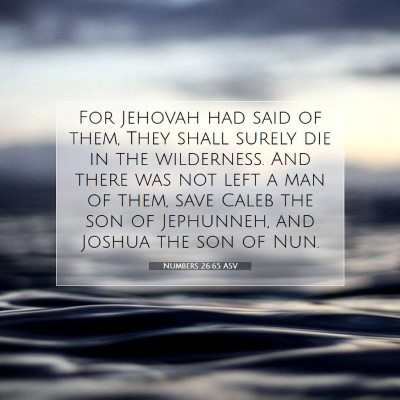 Picture 07 - Numbers 26:65 ASV - For Jehovah had said of them, They shall surely - Bible Verse Picture