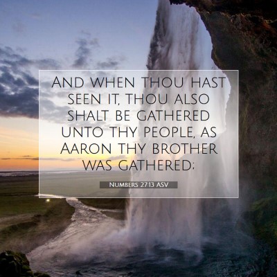 Picture 07 - Numbers 27:13 ASV - And when thou hast seen it, thou also shalt be - Bible Verse Picture