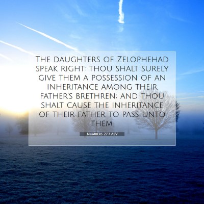 Picture 07 - Numbers 27:7 ASV - The daughters of Zelophehad speak right: thou - Bible Verse Picture
