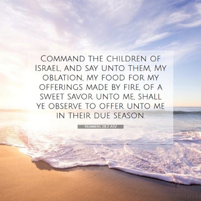 Picture 07 - Numbers 28:2 ASV - Command the children of Israel, and say unto - Bible Verse Picture