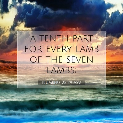 Picture 07 - Numbers 28:29 ASV - a tenth part for every lamb of the seven - Bible Verse Picture