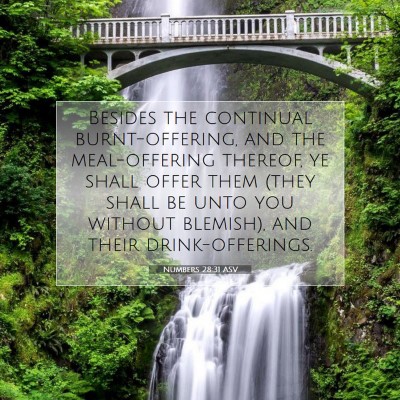 Picture 07 - Numbers 28:31 ASV - Besides the continual burnt-offering, and the - Bible Verse Picture