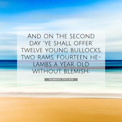 Picture 07 - Numbers 29:17 ASV - And on the second day `ye shall offer' twelve - Bible Verse Picture
