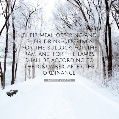 Picture 07 - Numbers 29:37 ASV - their meal-offering and their drink-offerings for - Bible Verse Picture