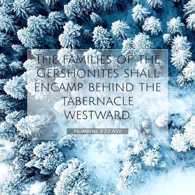 Picture 07 - Numbers 3:23 ASV - The families of the Gershonites shall encamp - Bible Verse Picture
