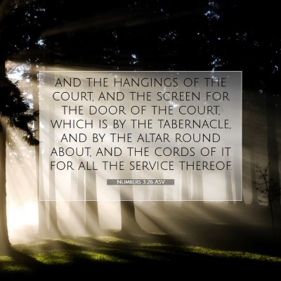 Picture 07 - Numbers 3:26 ASV - and the hangings of the court, and the screen for - Bible Verse Picture