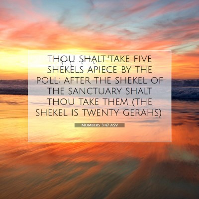 Picture 07 - Numbers 3:47 ASV - thou shalt take five shekels apiece by the poll; - Bible Verse Picture