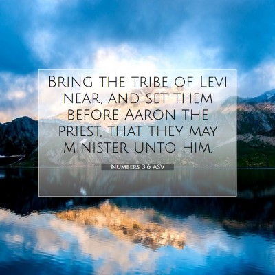 Picture 07 - Numbers 3:6 ASV - Bring the tribe of Levi near, and set them before - Bible Verse Picture