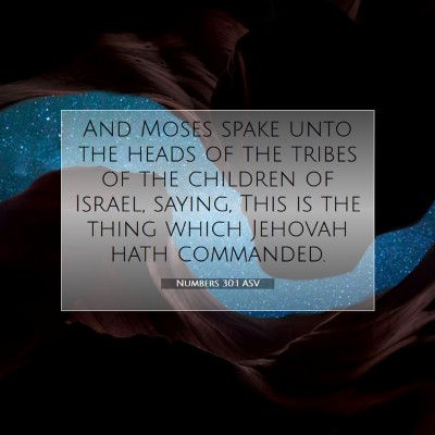 Picture 07 - Numbers 30:1 ASV - And Moses spake unto the heads of the tribes of - Bible Verse Picture