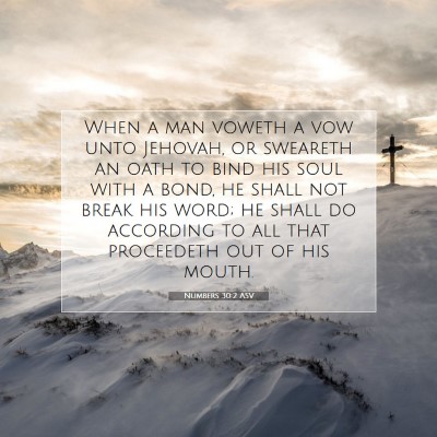 Picture 07 - Numbers 30:2 ASV - When a man voweth a vow unto Jehovah, or sweareth - Bible Verse Picture