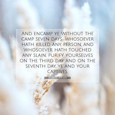 Picture 07 - Numbers 31:19 ASV - And encamp ye without the camp seven days: - Bible Verse Picture