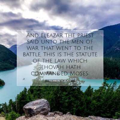 Picture 07 - Numbers 31:21 ASV - And Eleazar the priest said unto the men of war - Bible Verse Picture