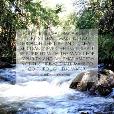 Picture 07 - Numbers 31:23 ASV - everything that may abide the fire, ye shall make - Bible Verse Picture