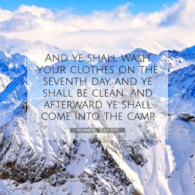 Picture 07 - Numbers 31:24 ASV - And ye shall wash your clothes on the seventh - Bible Verse Picture