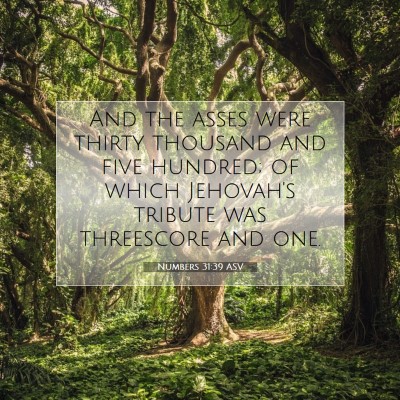 Picture 07 - Numbers 31:39 ASV - And the asses were thirty thousand and five - Bible Verse Picture