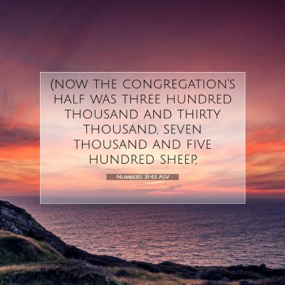 Picture 07 - Numbers 31:43 ASV - (now the congregation's half was three hundred - Bible Verse Picture