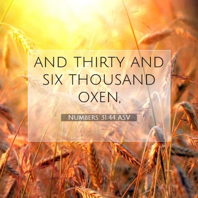Picture 07 - Numbers 31:44 ASV - and thirty and six thousand - Bible Verse Picture