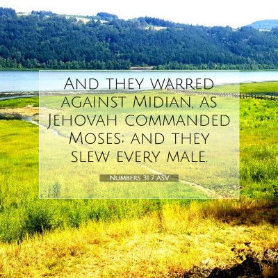 Picture 07 - Numbers 31:7 ASV - And they warred against Midian, as Jehovah - Bible Verse Picture