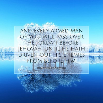 Picture 07 - Numbers 32:21 ASV - and every armed man of you will pass over the - Bible Verse Picture