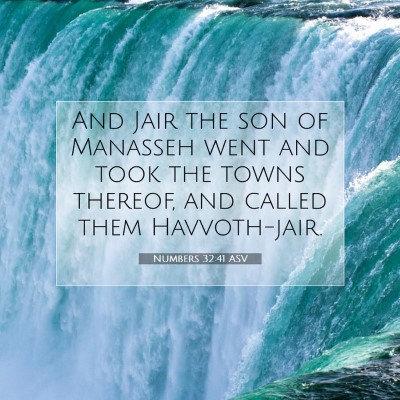 Picture 07 - Numbers 32:41 ASV - And Jair the son of Manasseh went and took the - Bible Verse Picture