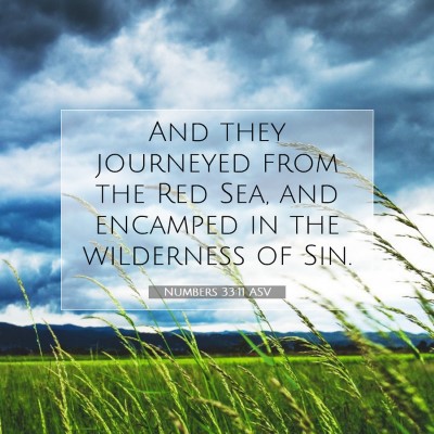Picture 07 - Numbers 33:11 ASV - And they journeyed from the Red Sea, and encamped - Bible Verse Picture