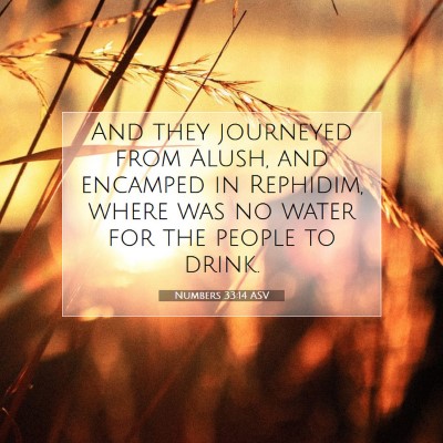 Picture 07 - Numbers 33:14 ASV - And they journeyed from Alush, and encamped in - Bible Verse Picture