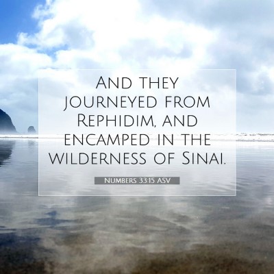 Picture 07 - Numbers 33:15 ASV - And they journeyed from Rephidim, and encamped in - Bible Verse Picture