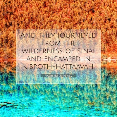 Picture 07 - Numbers 33:16 ASV - And they journeyed from the wilderness of Sinai, - Bible Verse Picture