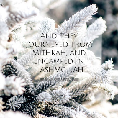 Picture 07 - Numbers 33:29 ASV - And they journeyed from Mithkah, and encamped in - Bible Verse Picture