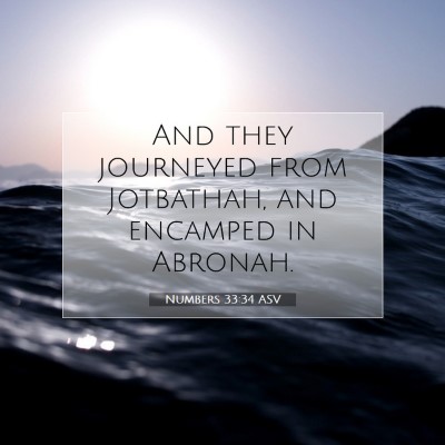 Picture 07 - Numbers 33:34 ASV - And they journeyed from Jotbathah, and encamped - Bible Verse Picture