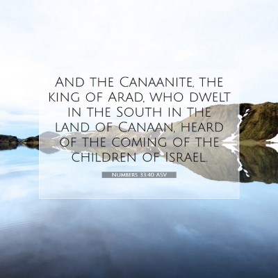 Picture 07 - Numbers 33:40 ASV - And the Canaanite, the king of Arad, who dwelt in - Bible Verse Picture
