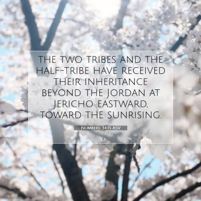 Picture 07 - Numbers 34:15 ASV - the two tribes and the half-tribe have received - Bible Verse Picture