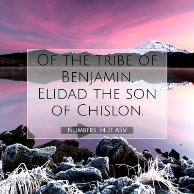 Picture 07 - Numbers 34:21 ASV - Of the tribe of Benjamin, Elidad the son of - Bible Verse Picture
