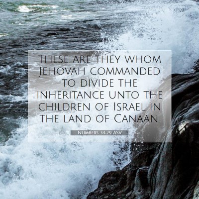 Picture 07 - Numbers 34:29 ASV - These are they whom Jehovah commanded to divide - Bible Verse Picture