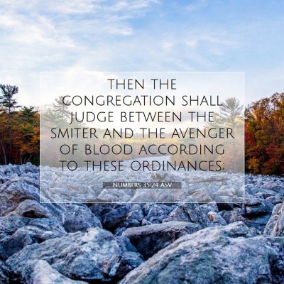 Picture 07 - Numbers 35:24 ASV - then the congregation shall judge between the - Bible Verse Picture