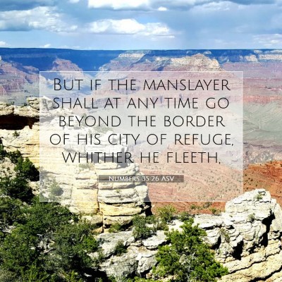 Picture 07 - Numbers 35:26 ASV - But if the manslayer shall at any time go beyond - Bible Verse Picture