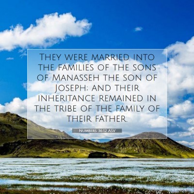 Picture 07 - Numbers 36:12 ASV - They were married into the families of the sons - Bible Verse Picture