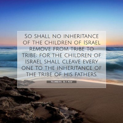 Picture 07 - Numbers 36:7 ASV - So shall no inheritance of the children of Israel - Bible Verse Picture