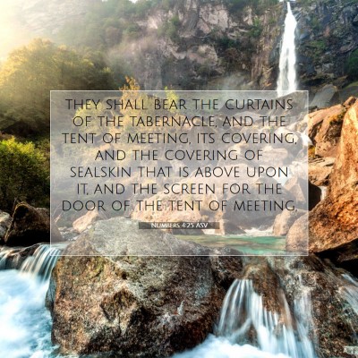 Picture 07 - Numbers 4:25 ASV - they shall bear the curtains of the tabernacle, - Bible Verse Picture