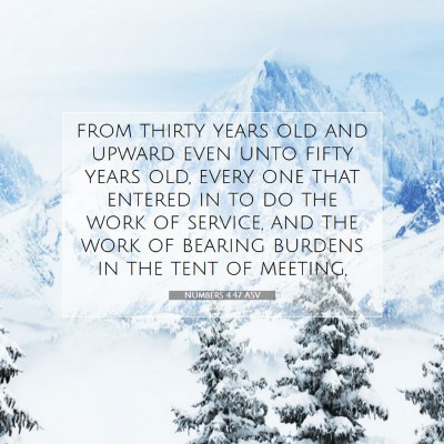 Picture 07 - Numbers 4:47 ASV - from thirty years old and upward even unto fifty - Bible Verse Picture