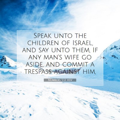 Picture 07 - Numbers 5:12 ASV - Speak unto the children of Israel, and say unto - Bible Verse Picture