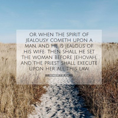Picture 07 - Numbers 5:30 ASV - or when the spirit of jealousy cometh upon a man, - Bible Verse Picture