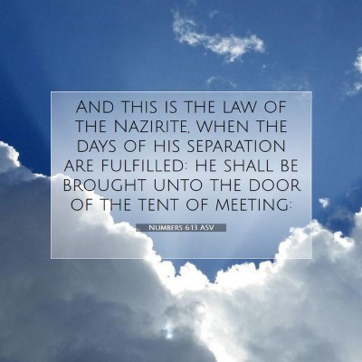 Picture 07 - Numbers 6:13 ASV - And this is the law of the Nazirite, when the - Bible Verse Picture