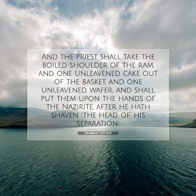 Picture 07 - Numbers 6:19 ASV - And the priest shall take the boiled shoulder of - Bible Verse Picture