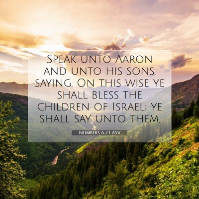 Picture 07 - Numbers 6:23 ASV - Speak unto Aaron and unto his sons, saying, On - Bible Verse Picture