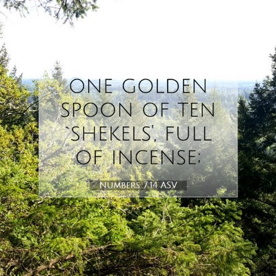 Picture 07 - Numbers 7:14 ASV - one golden spoon of ten `shekels', full of - Bible Verse Picture