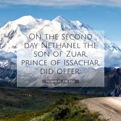 Picture 07 - Numbers 7:18 ASV - On the second day Nethanel the son of Zuar, - Bible Verse Picture
