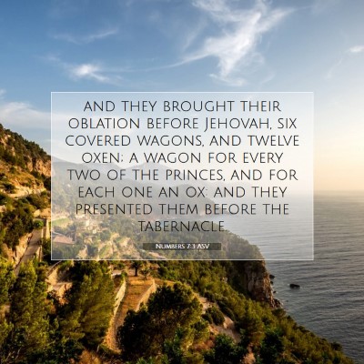 Picture 07 - Numbers 7:3 ASV - and they brought their oblation before Jehovah, - Bible Verse Picture