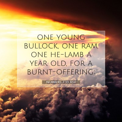 Picture 07 - Numbers 7:33 ASV - one young bullock, one ram, one he-lamb a year - Bible Verse Picture