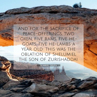 Picture 07 - Numbers 7:41 ASV - and for the sacrifice of peace-offerings, two - Bible Verse Picture